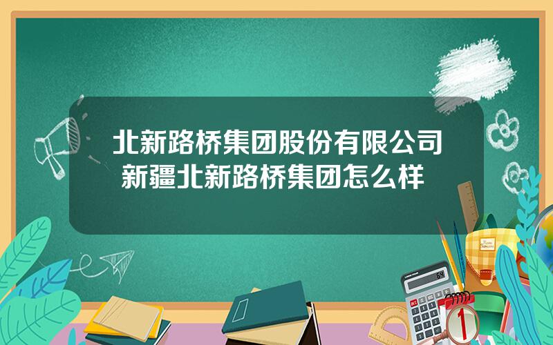 北新路桥集团股份有限公司 新疆北新路桥集团怎么样